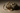 Make a high end picture of jewelry laying on a rock